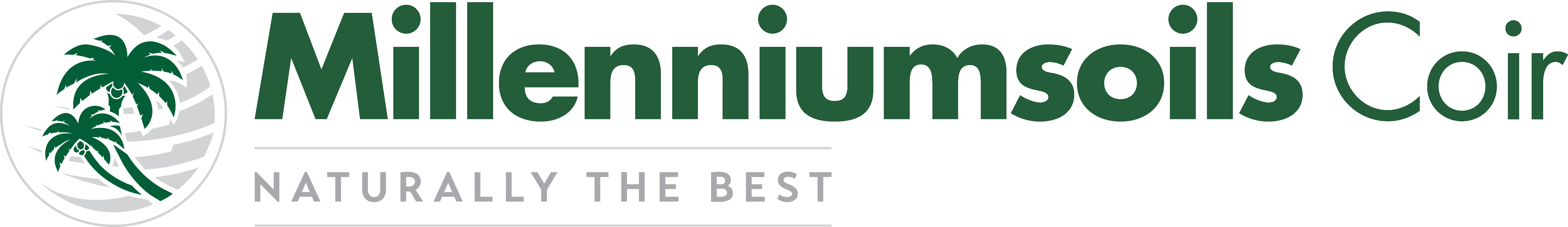 logo MINELLIUM